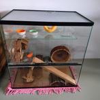 Glazen hamsterkooi met veel toebehoren, Dieren en Toebehoren, 60 tot 90 cm, Kooi, Minder dan 75 cm, Zo goed als nieuw