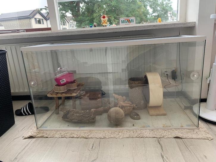 Terrarium 110x50x60, Dieren en Toebehoren, Knaagdieren en Konijnen | Hokken en Kooien, Zo goed als nieuw, Kooi, 60 tot 90 cm, 110 cm of meer