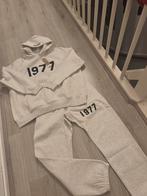 Essentials 1977 Hoodie - Grijs, Kleding | Heren, Ophalen of Verzenden, Nieuw, Maat 48/50 (M)