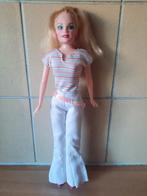 Barbie pop inclusief 2 outfits en accessoires, Ophalen of Verzenden, Zo goed als nieuw, Barbie