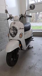 Te koop Kymco Sento, Ophalen, Gebruikt, Overige modellen, Maximaal 45 km/u