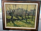 Schilderij 62x53,5, Ophalen of Verzenden