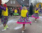 Carnaval loopgroep 20 personen, Carnaval, Zo goed als nieuw, Kleding, Ophalen