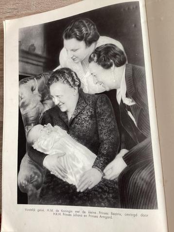 Koninklijk 40 jaar  Koningin der Nederlanden 1898-1938 beschikbaar voor biedingen
