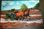 Paard - Horse - Cheveau - Tweespan - Klederdracht - Nunspeet, Verzenden, 1980 tot heden, Gelopen, Paard
