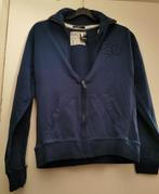 Blauwe heren vest maat M nieuw, Ophalen, Nieuw, Blauw