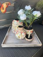 Vazen met decoratieschaal en plant, Ophalen, Nieuw, Overige kleuren, Minder dan 50 cm