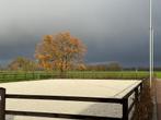 Bak verhuur maartensdijk, Dieren en Toebehoren, Ophalen of Verzenden