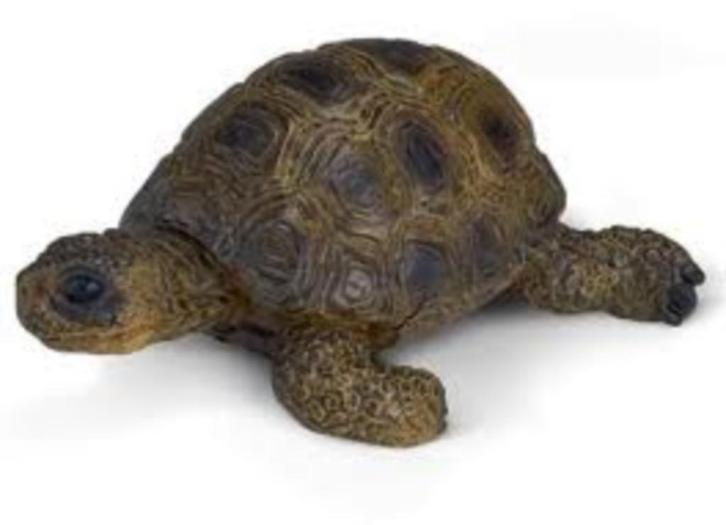 Schleich 14404 schildpad, dierfiguur, Verzamelen, Dierenverzamelingen, Zo goed als nieuw, Beeldje of Figuurtje, Reptiel of Amfibie