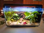 30 liter aquarium zonder vissen, Dieren en Toebehoren, Ophalen, Zo goed als nieuw, Verlichting of Verwarming