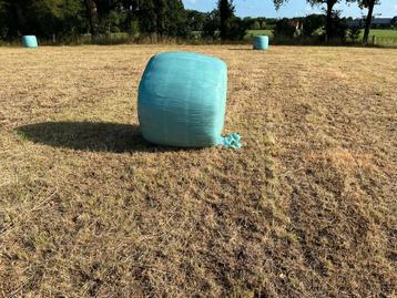 Midi balen hooi balen ronde balen  beschikbaar voor biedingen