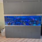 Compleet zee aquarium, Dieren en Toebehoren, Vissen | Aquaria en Toebehoren, Ophalen, Zo goed als nieuw, Gevuld zeewateraquarium