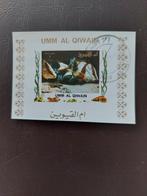 Blokje vissen. Umm al Qiwain, Ophalen of Verzenden, Dier of Natuur