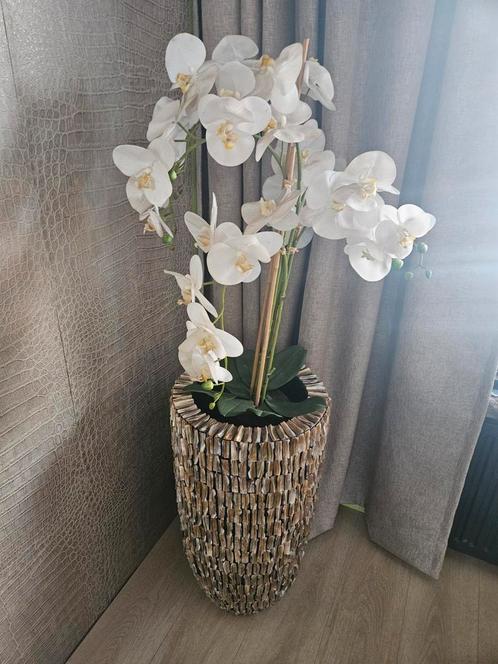 schelpenvaas te koop 71 cm hoog, Huis en Inrichting, Woonaccessoires | Vazen, Gebruikt, Overige kleuren, Ophalen