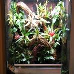 Op maat gemaakte terraria voor uw dieren, Ophalen, Nieuw, Terrarium of Paludarium