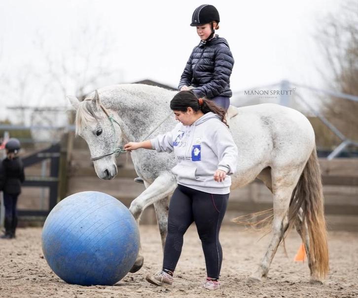 Paardrijden met respect voor het paard, Dieren en Toebehoren, Paarden en Pony's | Verzorgingsproducten, Nieuw, Ophalen of Verzenden