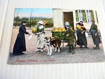  Hondenkar. Laitieres Belgique. Melkbezorging.  beschikbaar voor biedingen