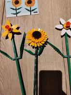 Lego Zonnebloem & Nacissen, Hobby en Vrije tijd, Kaarten | Zelf maken, Ophalen