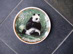 Wandbord met Panda - 1982 - met merkteken Regina, Ophalen of Verzenden