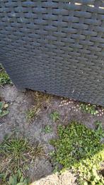 Leuke loungeset - 2 stoelen en een bank, Tuin en Terras, Ophalen, 4 zitplaatsen, Gebruikt, Loungeset