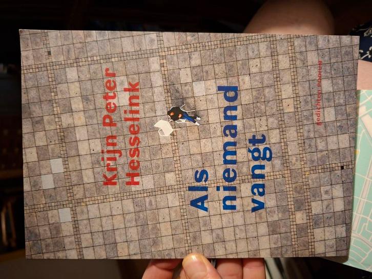 Krijn Peter Hesselink - Als niemand vangt, Boeken, Gedichten en Poëzie, Zo goed als nieuw, Ophalen of Verzenden