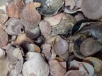 schelpen 250 gram no. 6, Ophalen, Nieuw, Materiaal