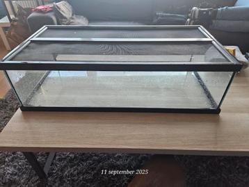 Laag aquarium ideaal voor Axolotl of schildpadden beschikbaar voor biedingen