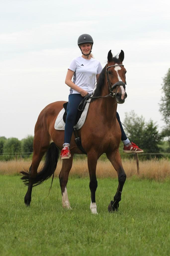 Bijrijd/verzorg pony/paard gezocht!, Dieren en Toebehoren, Stalling en Weidegang