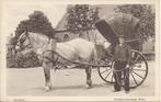Zeeland, Zuid-Bevelandsche Boer, Klederdracht, Koets, Paard, Verzenden, Voor 1920, Ongelopen, Zeeland