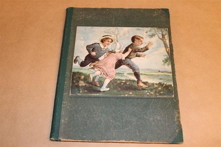 Baan's Album: Insecten [1915— Compleet Plaatjesalbum, Boeken, Prentenboeken en Plaatjesalbums, Gelezen, Ophalen of Verzenden