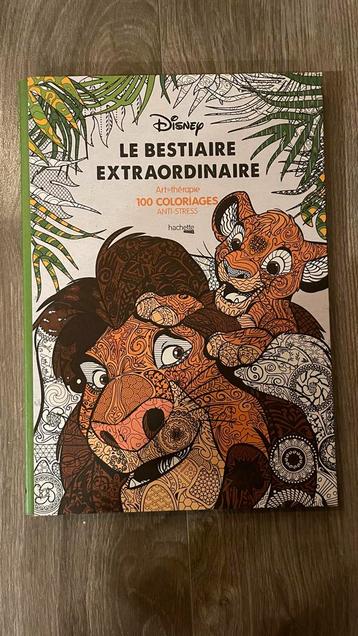 Disney Kleurboek Volwassenen - Disneyland Parijs beschikbaar voor biedingen