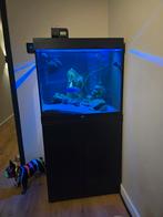Aquarium Juwel lido 200 liter, Ophalen, Gebruikt, Leeg aquarium
