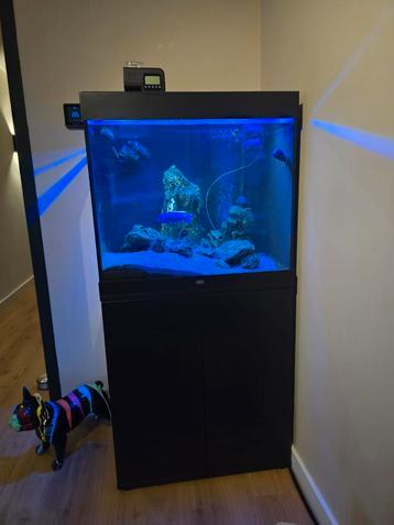 Aquarium Juwel lido 200 liter  beschikbaar voor biedingen