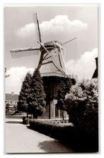 Peize, Korenmolen, Verzamelen, Ansichtkaarten | Nederland, Verzenden, 1960 tot 1980, Ongelopen, Drenthe