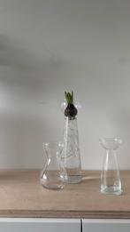 Klein Bollenvaasje van Glas - 15cm, Overige kleuren, Ophalen of Verzenden, Minder dan 50 cm, Glas