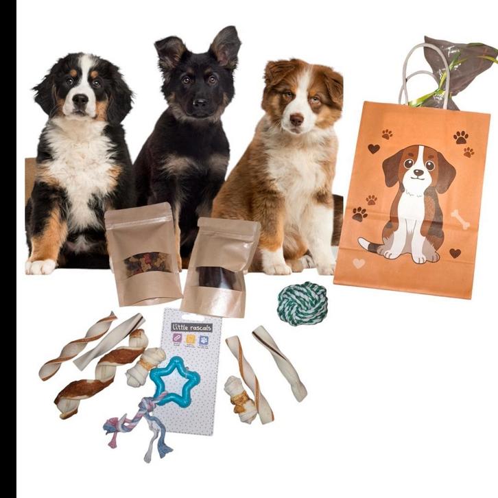 Puppy pakket, Dieren en Toebehoren, Honden-accessoires, Nieuw, Ophalen of Verzenden