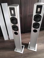 Piega tp 5s, Audio, Tv en Foto, Luidsprekers, Zo goed als nieuw, 120 watt of meer, Front, Rear of Stereo speakers, Ophalen