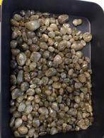 Partij zeldzame groene granaat trommelstenen, Ophalen of Verzenden, Mineraal