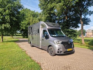 Renault Master test_nl (bj 2020) beschikbaar voor biedingen