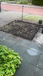 Zwarte grond modder gratis, Ophalen, Tuinaarde