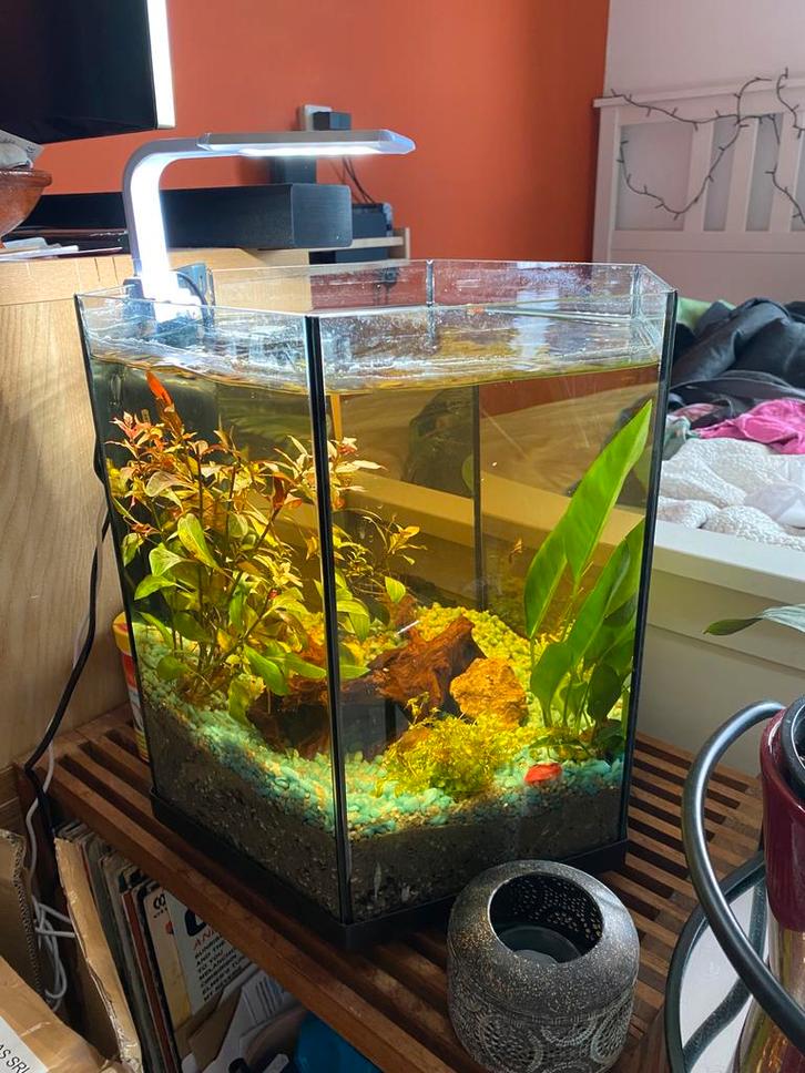 Aquarium met artikelen, Dieren en Toebehoren, Vissen | Aquaria en Toebehoren, Leeg aquarium, Ophalen