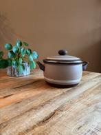 Grote Pan, Huis en Inrichting, Keuken | Potten en Pannen, Ophalen, Gebruikt, Rvs, Koekenpan of Braadpan