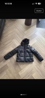 Goldberg ski jas, Kleding | Dames, Wintersportkleding, Ophalen of Verzenden, Zo goed als nieuw, Maat 38/40 (M), Jack