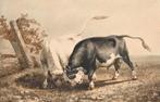 DIRK VAN LOKHORST (1818-1893), aquarel, Ophalen of Verzenden