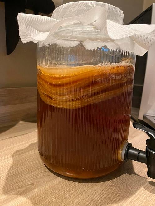 Biologische kombucha scoby zwam + starter., Diversen, Levensmiddelen, Ophalen of Verzenden