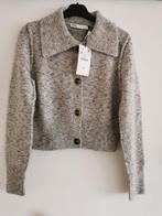 ZARA vest grijs-gemêleerd mt. M, Kleding | Dames, Truien en Vesten, Maat 38/40 (M), Verzenden, Zara, Nieuw