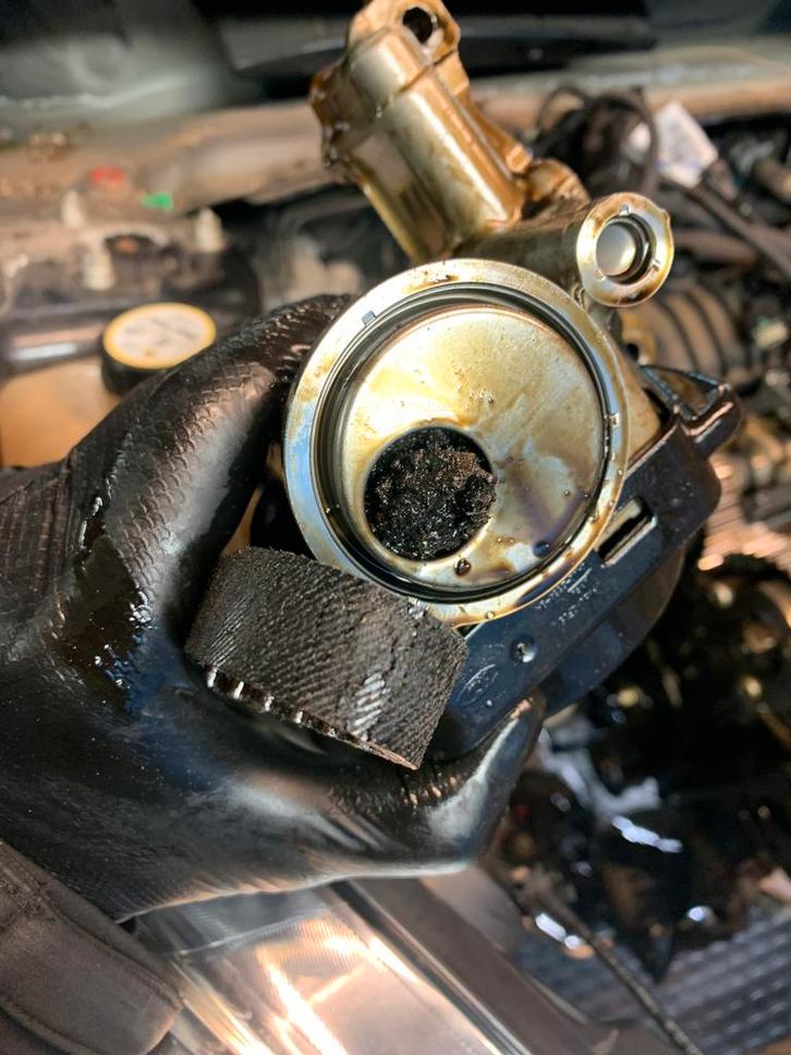 Ford EcoBoost PureTech Psa Natte riem vervangen / wetbeld, Auto diversen, Overige Auto diversen, Ophalen of Verzenden