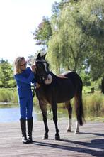 Super makke kinderpony, Dieren en Toebehoren, Paarden, Ruin
