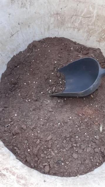 BAMBOER VOEDING voor bamboeplanten beschikbaar voor biedingen