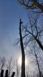 Boomverzorging regio Zuid-Limburg, Garantie, Tuinonderhoud of Snoeiwerk